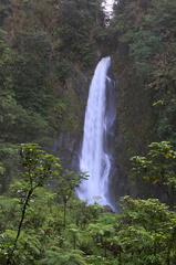 	Trafalgar Falls	