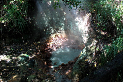 	Sulphur Springs	