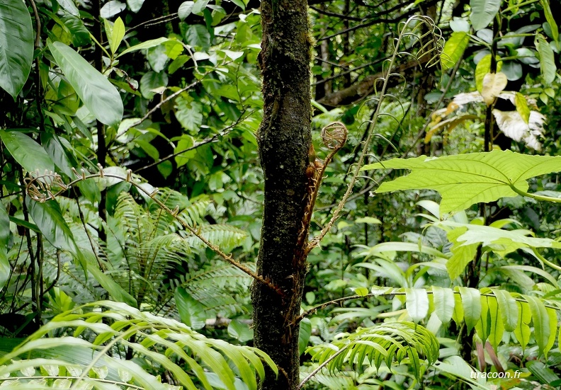 P1280735M.jpg