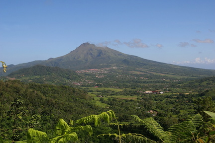 	La Montagne Pelée	