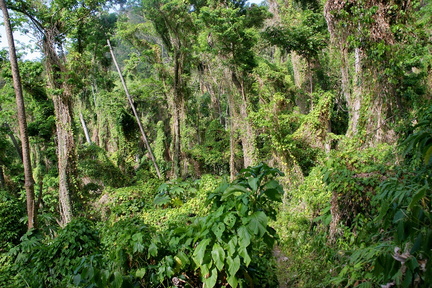 	Trace du Prêcheur	