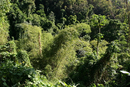 	Trace du Prêcheur	