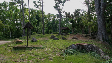 	Forêt de Montravail	