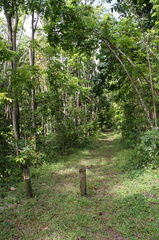 	Forêt de Montravail	