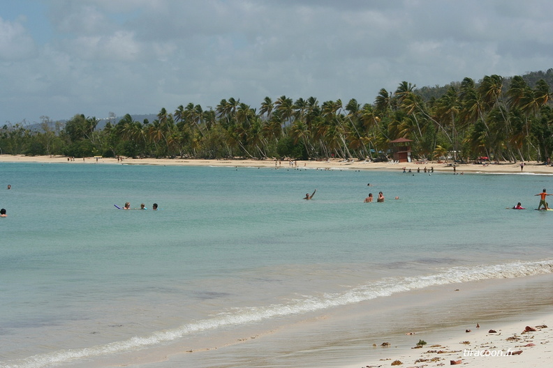 	Anse des Salines	