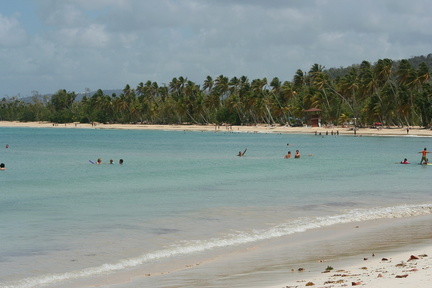 	Anse des Salines	