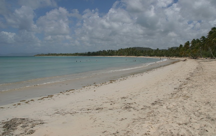 	Anse des Salines	