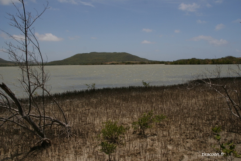 	Etang des Salines	