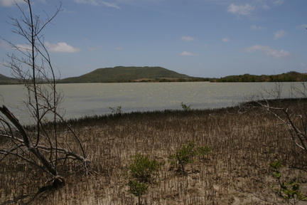 	Etang des Salines	