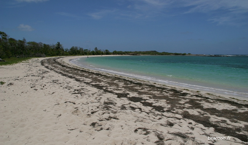 	Anse à Prunes	