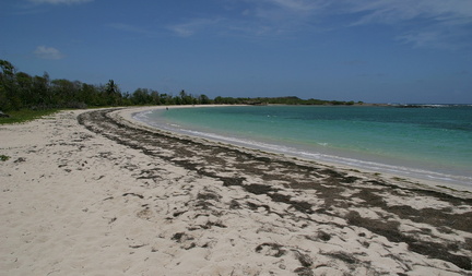 	Anse à Prunes	