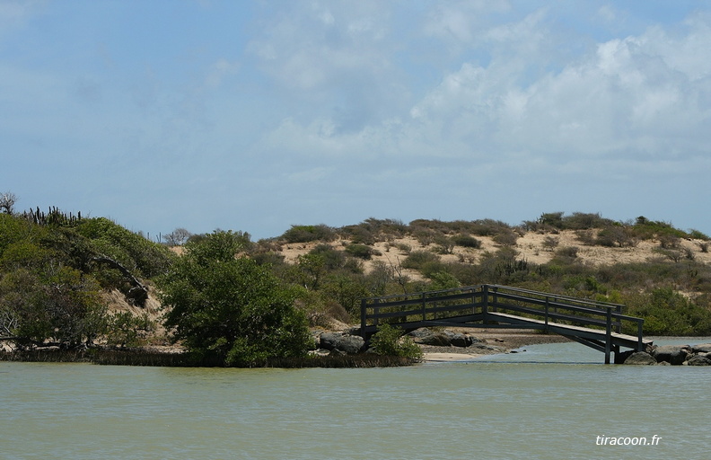 	Pont sur le canal	