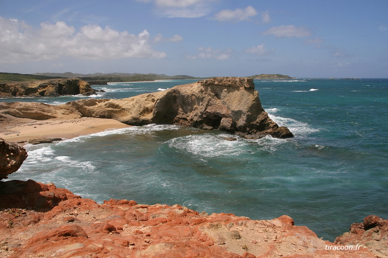 Savane des Pétrifications