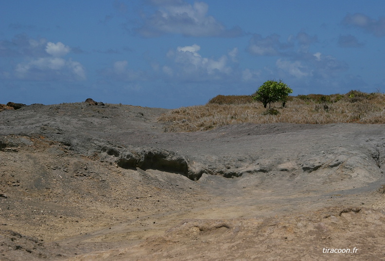 	Presqu'ile de la Caravelle	