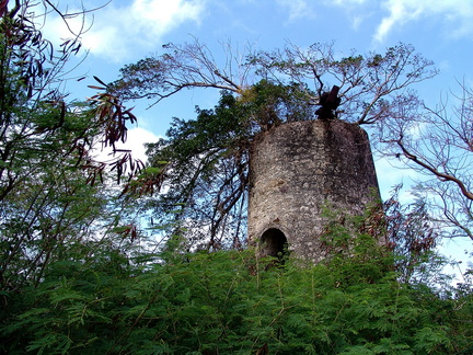 	Anse-Bertrand	