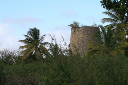 	Anse-Bertrand	