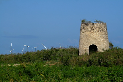 	Anse-Bertrand	