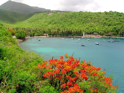 	Anse à la Barque	