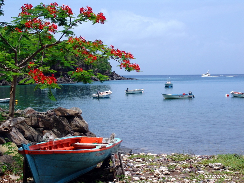 	Grande Anse Duché	