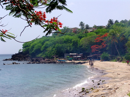 	Anse Marigot	