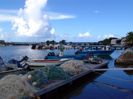 	Port de Goyave	