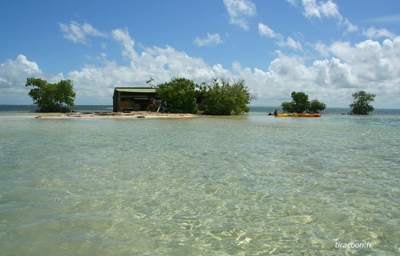 Ilet La Biche, îlot de sable blanc au coeur du Grand-Cul-de-Sac-marin. A découvrir, ainsi que la mangrove et le lagon, en kayak de mer avec Christian, guide naturaliste de Rando Passion. IMG_6917M.jpg
