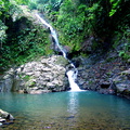 	Saut de Bras De Fort	