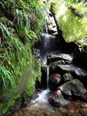 	Ravine de la Citerne