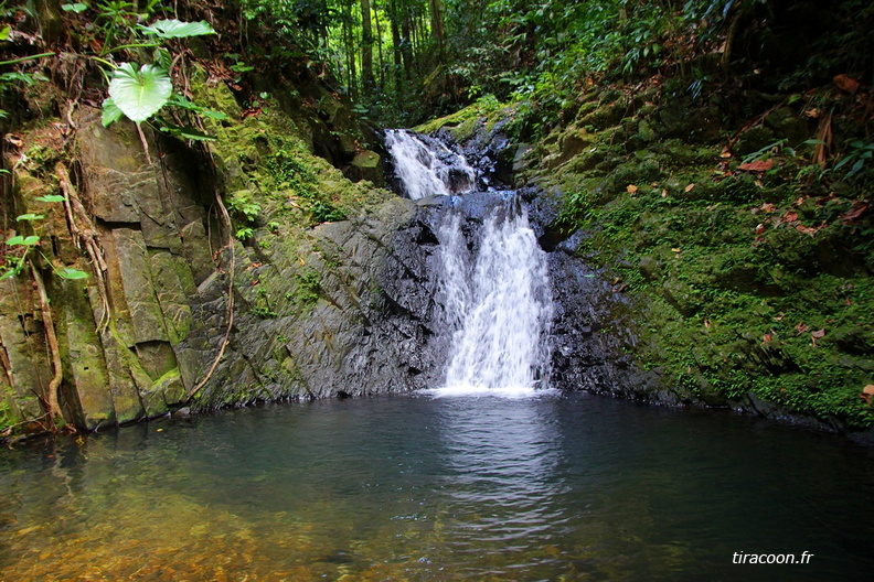 Petite cascade sur Ravine Naca avec 2 ressauts en aval de la Grande cascade, Sainte-Rose. IMG_1670M1.jpg