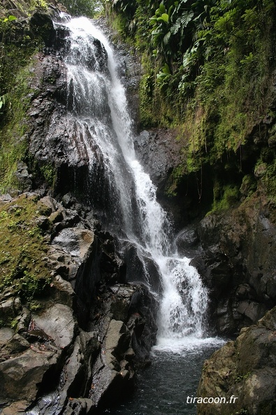 	Saut de Bras De Fort	