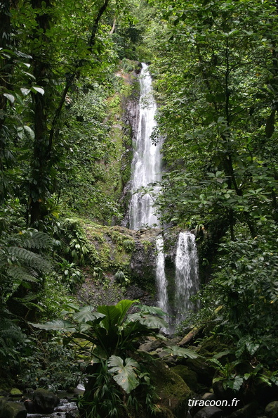 Cascade sur un affluent de la ravine Mangle avant d'arriver aux chutes Moreau, Goyave.
IMG_4398M.jpg