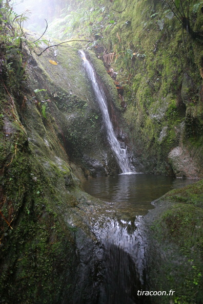 Petite cascade sur une ravine qui descend du sommet de l'Echelle, sur la trace Karukera. IMG_5180M.jpg