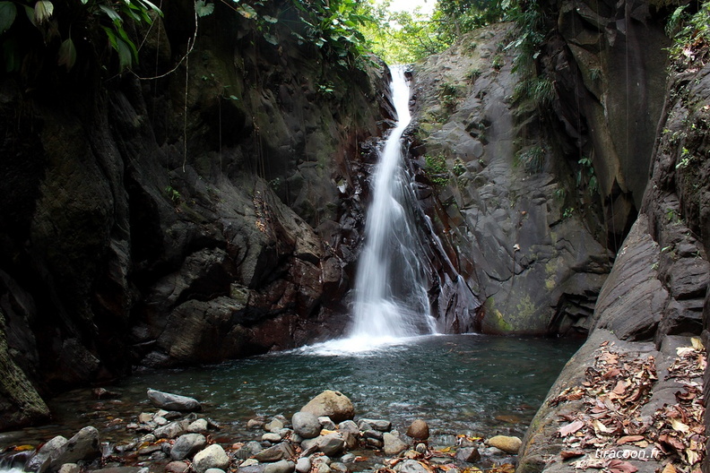 	Bois Malaisé