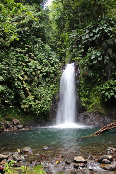 	Bois Malaisé	