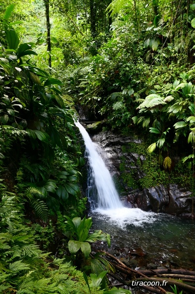 	Chutes de Moreau