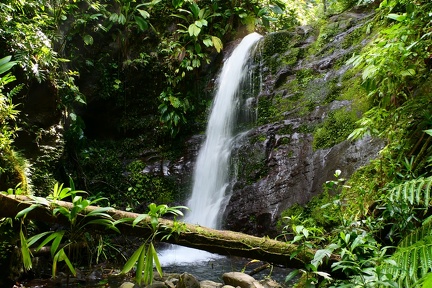 	Chutes de Moreau