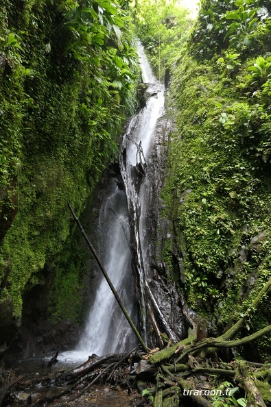 	Chutes de Moreau