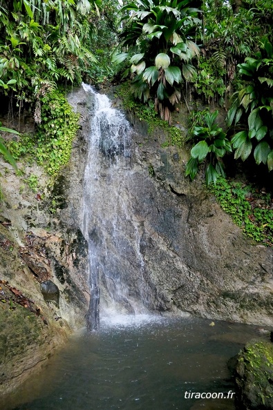 	Ravine débauchée