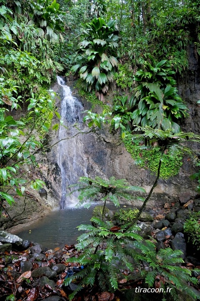 	Ravine débauchée