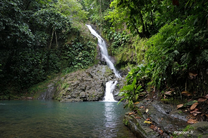 	Saut de Bras De Fort	