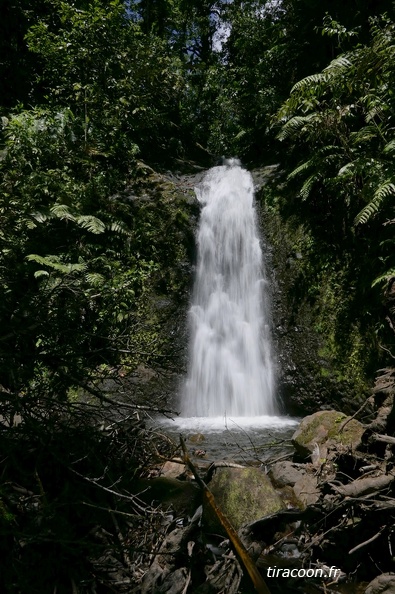 Cascade sur la ravine Auphrant, appelée aussi ravine aux Foins.
Vieux-Habitants. P1140708M.jpg