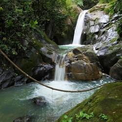 Cascades