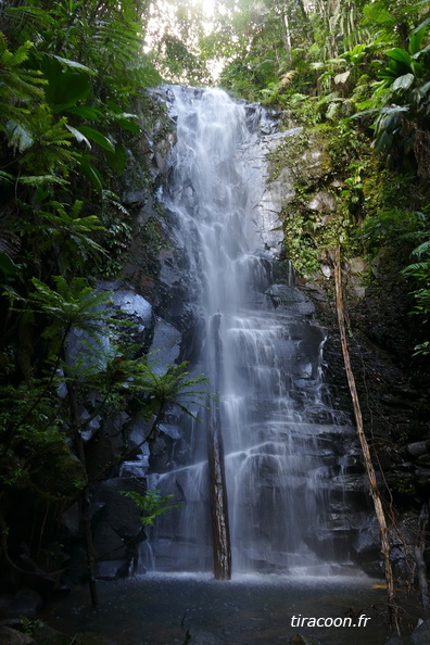 	Cascade Palmiste	