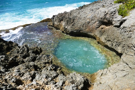 	Piscine naturelle