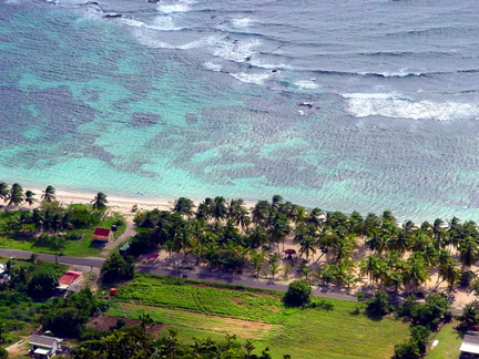 	Plage et cocotiers	