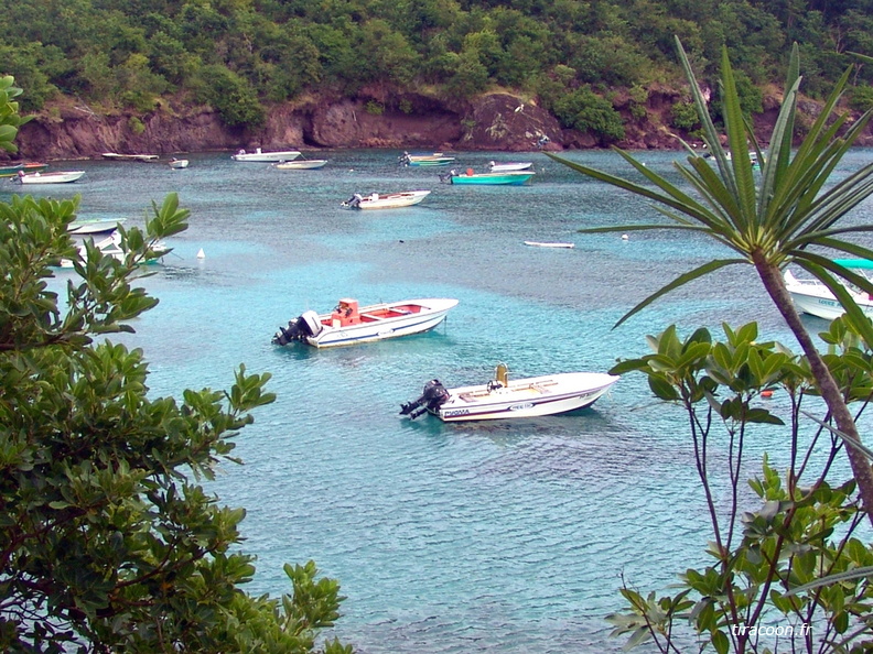 	La crique de Grande Baie	