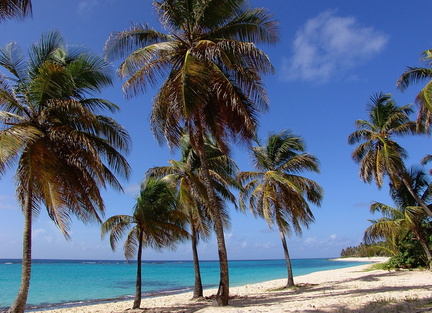 	Plage de Feuillère	