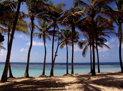 	Plage de Petite Anse	