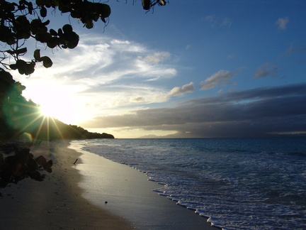 	Plage Moustique	