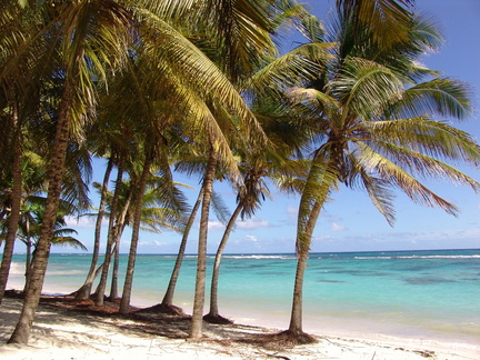 	Plage de Petite Anse	